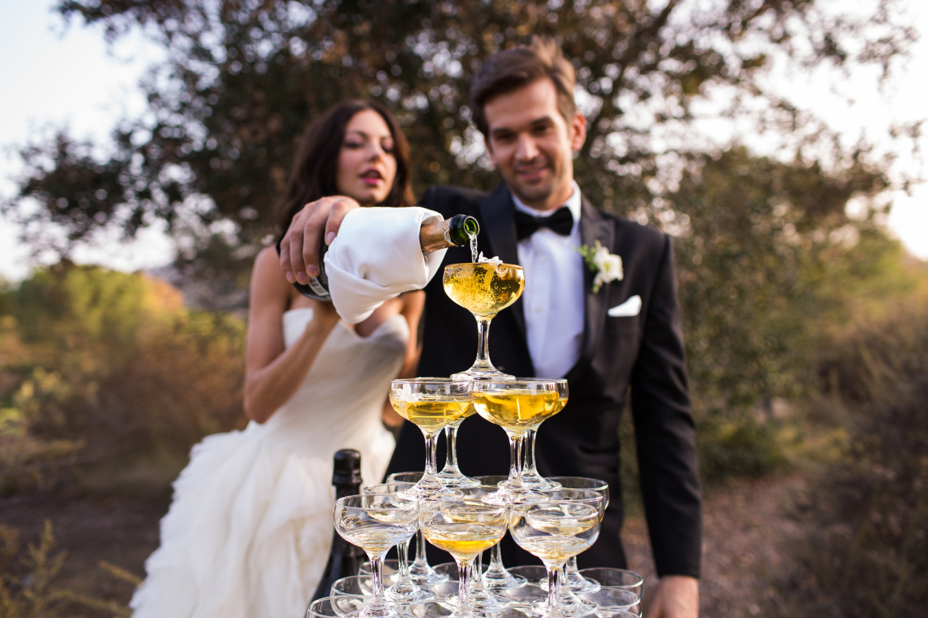 Алкоголь на свадьбу для банкета